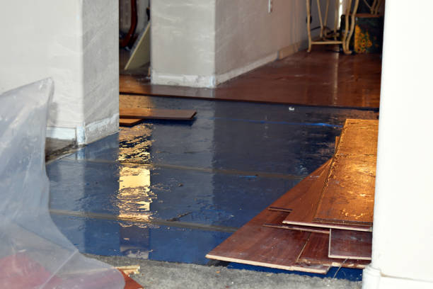 Professional Burst Pipe Water Damage technician working in Rosburg, WA